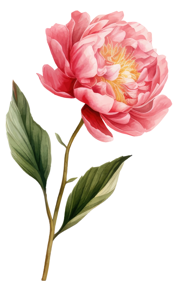 flowers-3.webp